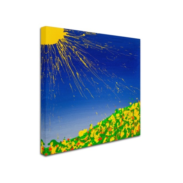 Roderick Stevens 'Sunny Field' Canvas Art,24x24